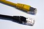 Primer plano de conectores RJ45 de dos cables Ethernet en color amarillo y negro sobre fondo blanco.
