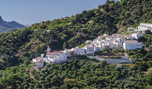 Vista panorámica de un pueblo de casas blancas ubicado en la ladera de una montaña boscosa bajo un cielo despejado.