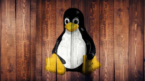 Ilustración de Tux, la mascota de Linux, integrada sobre una superficie de listones de madera.