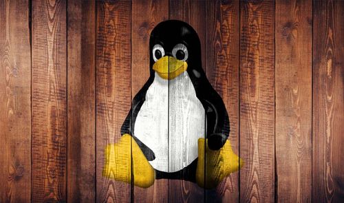 Ilustración de Tux, la mascota de Linux, integrada sobre una superficie de listones de madera.