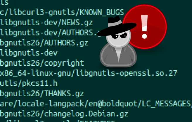 gnuTLS_bug_2