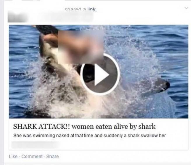 scam facebook ataque de un tiburón
