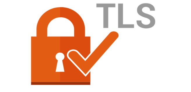 Seguridad TLS