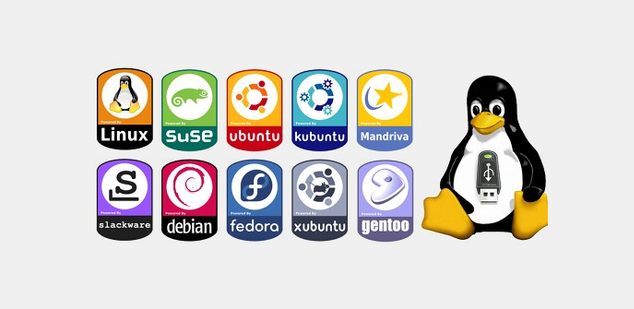 https://www.redeszone.net/app/uploads/2015/12/Distribuciones-Linux-2015.png?x=634&y=309