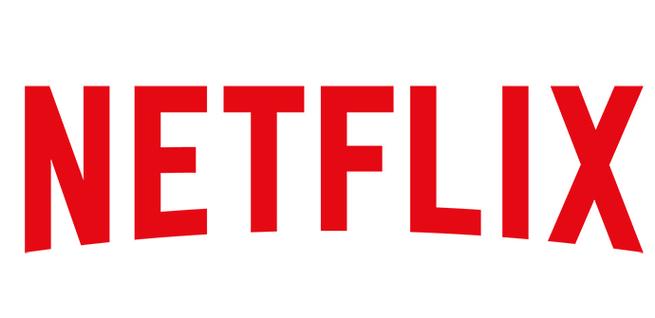 Series y películas por streaming con Netflix