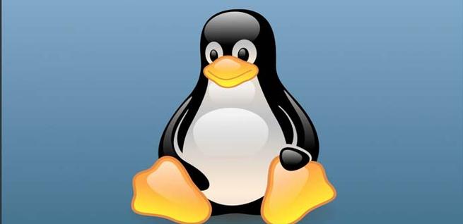 Distribución de Linux para Windows